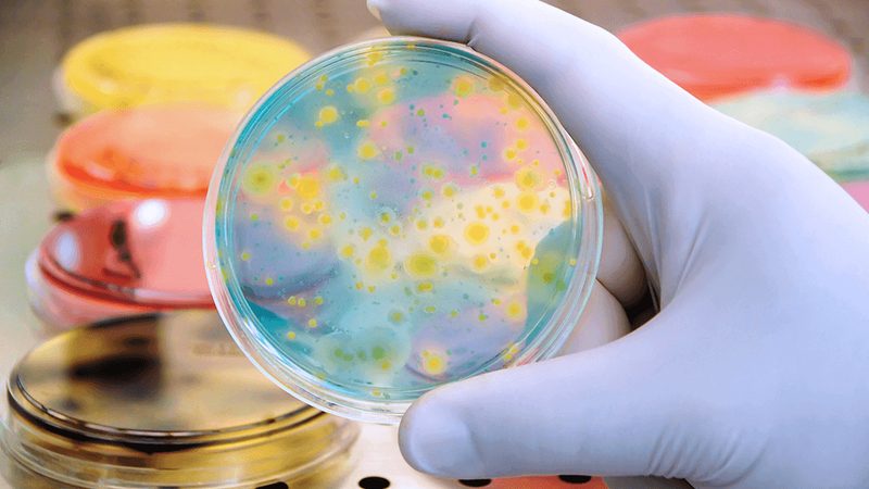解码上海生物科技公司排行榜：揭秘行业力量与未来趋势**