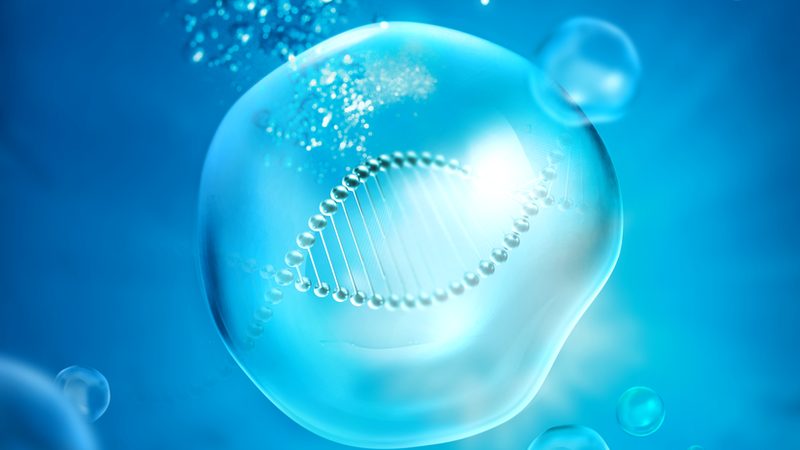 生物科技实验室定制装修：揭秘背后的关键要素**