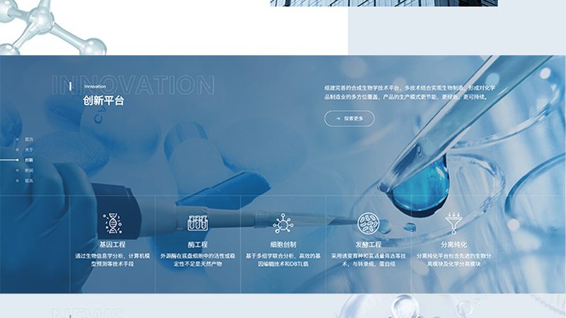 CDMO商业化生产服务：揭秘药物研发的“幕后英雄