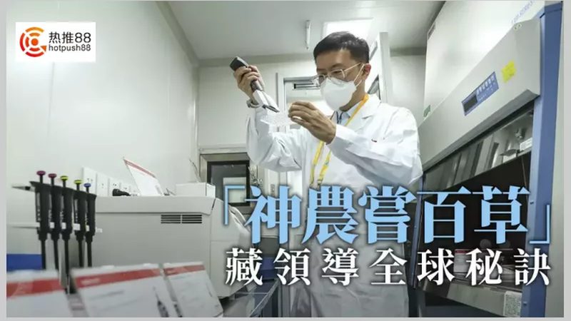 培养基成分揭秘：分类与作用的深层解析**