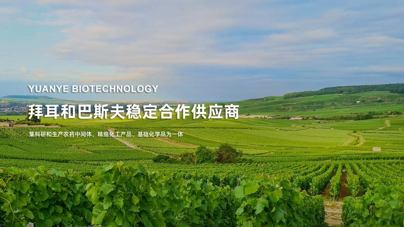 CDMO项目合作合同：关键要点与风险防范