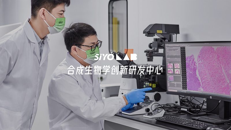 CDMO项目周期为什么常被低估