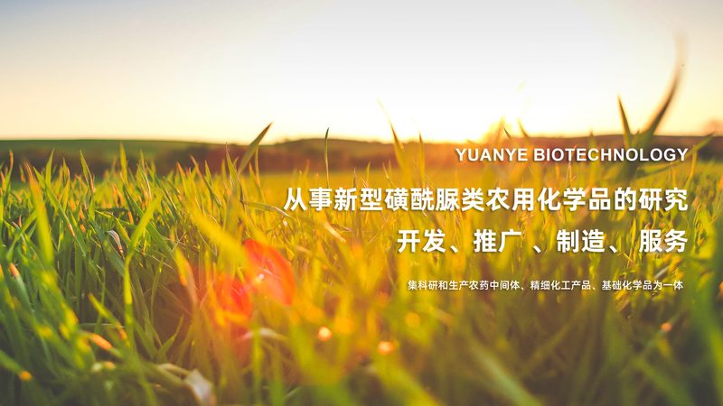 纺织工业酶制剂：规格型号揭秘与选型要点**