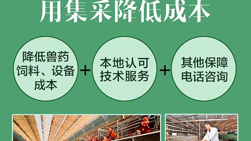 药物注册合规性是药物上市的关键。在选择CDMO平台时，要确保其具备以下条件：