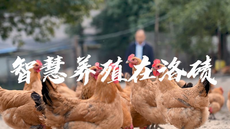 细胞工厂纯化服务：定制化价格背后的考量**
