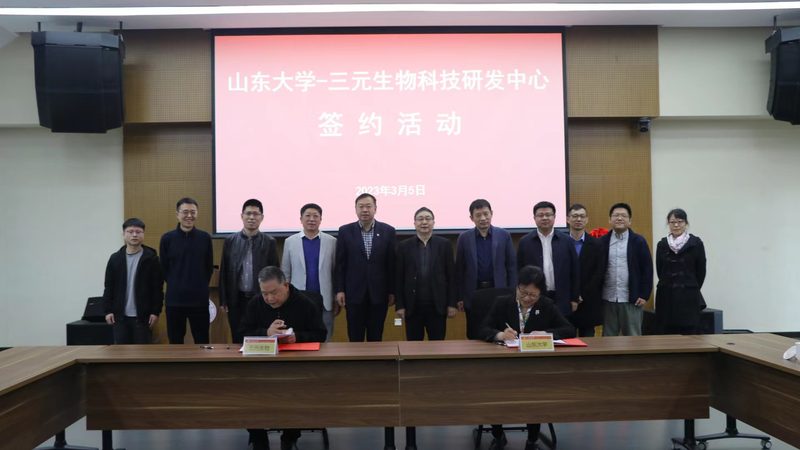 干细胞培养基的选择：关键因素与行业趋势**