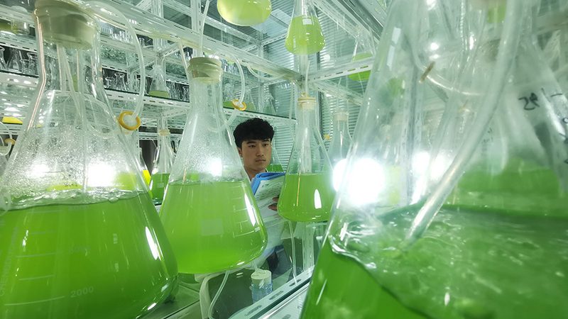 逆转录试剂盒实验步骤解析：关键环节与注意事项